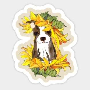 Sunshine Puppy Sticker